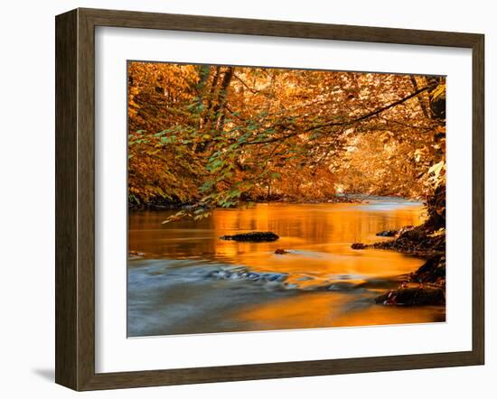 River of Dreams-Philippe Sainte-Laudy-Framed Premium Photographic Print