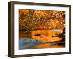 River of Dreams-Philippe Sainte-Laudy-Framed Photographic Print