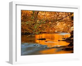 River of Dreams-Philippe Sainte-Laudy-Framed Photographic Print