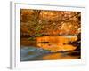 River of Dreams-Philippe Sainte-Laudy-Framed Photographic Print