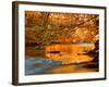 River of Dreams-Philippe Sainte-Laudy-Framed Photographic Print