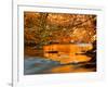 River of Dreams-Philippe Sainte-Laudy-Framed Photographic Print