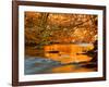 River of Dreams-Philippe Sainte-Laudy-Framed Photographic Print