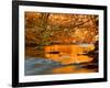 River of Dreams-Philippe Sainte-Laudy-Framed Photographic Print