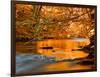 River of Dreams-Philippe Sainte-Laudy-Framed Photographic Print