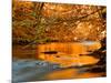 River of Dreams-Philippe Sainte-Laudy-Mounted Photographic Print