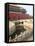 River of Gold, Forbidden City, Beijing, China, Asia-Kimberly Walker-Framed Stretched Canvas