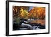 River of Gold-Mike Jones-Framed Giclee Print