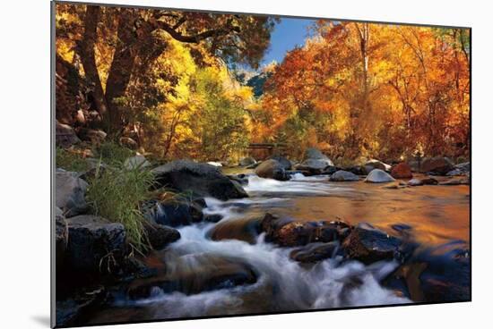 River of Gold-Mike Jones-Mounted Giclee Print