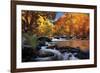 River of Gold-Mike Jones-Framed Giclee Print