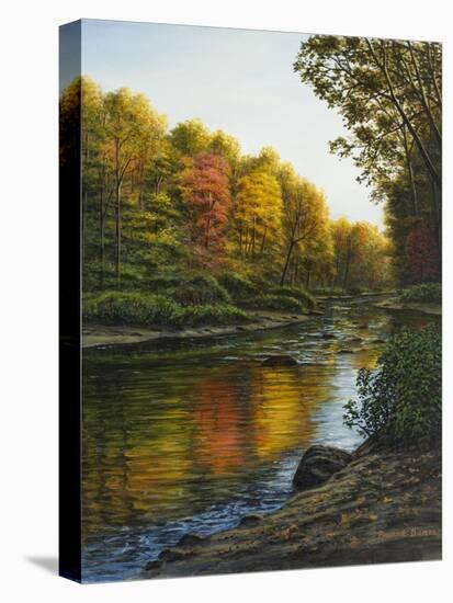 River of Gold-Bruce Dumas-Stretched Canvas