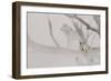 River of Mist-Gordon Semmens-Framed Photographic Print