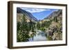 River Of No Return-Brenda Petrella Photography LLC-Framed Giclee Print