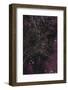 River of Wine-Design Fabrikken-Framed Photographic Print