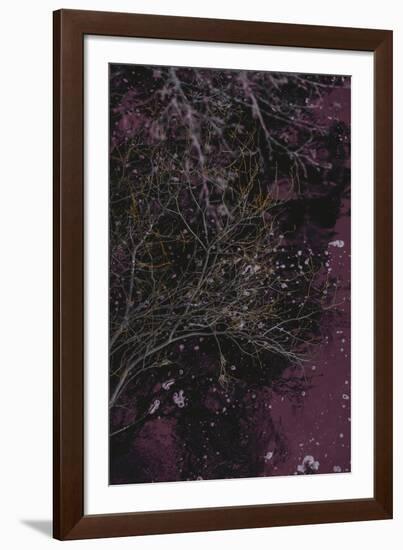 River of Wine-Design Fabrikken-Framed Photographic Print