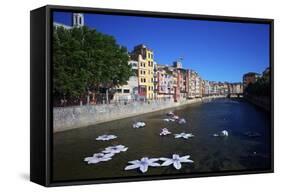 River Onyar During the Flower Festival, Girona, Catalonia, Spain-Rob Cousins-Framed Stretched Canvas