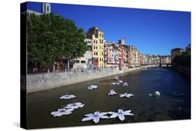 River Onyar During the Flower Festival, Girona, Catalonia, Spain-Rob Cousins-Stretched Canvas