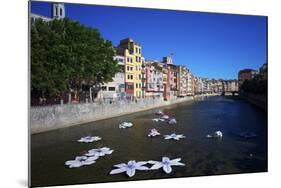 River Onyar During the Flower Festival, Girona, Catalonia, Spain-Rob Cousins-Mounted Photographic Print