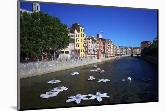 River Onyar During the Flower Festival, Girona, Catalonia, Spain-Rob Cousins-Mounted Photographic Print