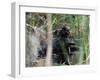 River Otter (Lutra Canadensis), Big Cypress Nature Preserve, Florida-James Hager-Framed Photographic Print