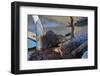 River Otter (Lutra Canadensis) Pup-James Hager-Framed Photographic Print