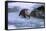 River Otter on Icy Riverbank-DLILLC-Framed Stretched Canvas