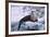 River Otter on Icy Riverbank-DLILLC-Framed Photographic Print