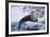 River Otter on Icy Riverbank-DLILLC-Framed Photographic Print