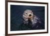 River Otter Swimming-DLILLC-Framed Photographic Print