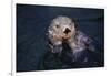 River Otter Swimming-DLILLC-Framed Photographic Print