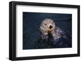 River Otter Swimming-DLILLC-Framed Photographic Print