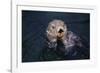 River Otter Swimming-DLILLC-Framed Photographic Print