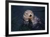 River Otter Swimming-DLILLC-Framed Photographic Print