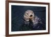 River Otter Swimming-DLILLC-Framed Photographic Print