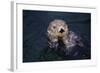 River Otter Swimming-DLILLC-Framed Photographic Print