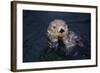 River Otter Swimming-DLILLC-Framed Photographic Print