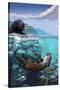 River Otters - Underwater Scene-Lantern Press-Stretched Canvas