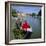 River Ouse Boating, Ely, Cambridgeshire, England-Roy Rainford-Framed Photographic Print