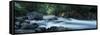 River Passing Through a Forest, Nantahala Falls, Nantahala National Forest, North Carolina, USA-null-Framed Stretched Canvas