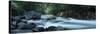 River Passing Through a Forest, Nantahala Falls, Nantahala National Forest, North Carolina, USA-null-Stretched Canvas