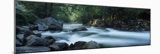 River Passing Through a Forest, Nantahala Falls, Nantahala National Forest, North Carolina, USA-null-Mounted Photographic Print