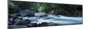 River Passing Through a Forest, Nantahala Falls, Nantahala National Forest, North Carolina, USA-null-Mounted Photographic Print