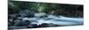 River Passing Through a Forest, Nantahala Falls, Nantahala National Forest, North Carolina, USA-null-Mounted Photographic Print