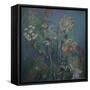 River Plants, 1977-Bettina Shaw-Lawrence-Framed Stretched Canvas