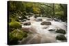 River Plym Flowing Fast Through Dewerstone Wood, Shaugh Prior, Dartmoor Np Devon, UK, October-Ross Hoddinott-Stretched Canvas