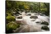 River Plym Flowing Fast Through Dewerstone Wood, Shaugh Prior, Dartmoor Np Devon, UK, October-Ross Hoddinott-Stretched Canvas