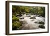 River Plym Flowing Fast Through Dewerstone Wood, Shaugh Prior, Dartmoor Np Devon, UK, October-Ross Hoddinott-Framed Photographic Print