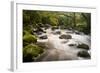 River Plym Flowing Fast Through Dewerstone Wood, Shaugh Prior, Dartmoor Np Devon, UK, October-Ross Hoddinott-Framed Photographic Print