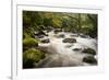 River Plym Flowing Fast Through Dewerstone Wood, Shaugh Prior, Dartmoor Np Devon, UK, October-Ross Hoddinott-Framed Photographic Print