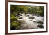 River Plym Flowing Fast Through Dewerstone Wood, Shaugh Prior, Dartmoor Np Devon, UK, October-Ross Hoddinott-Framed Photographic Print